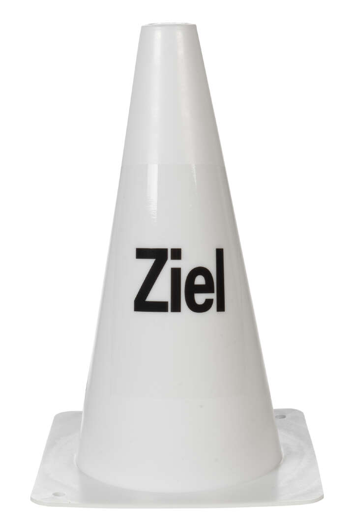 HKM Hobby Horsing Bahnpylonen Springen